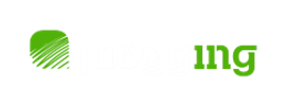 Juegging Casino